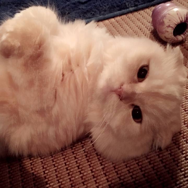 46e8dbfb 741e 4f97 9321 d4cce7e73de8