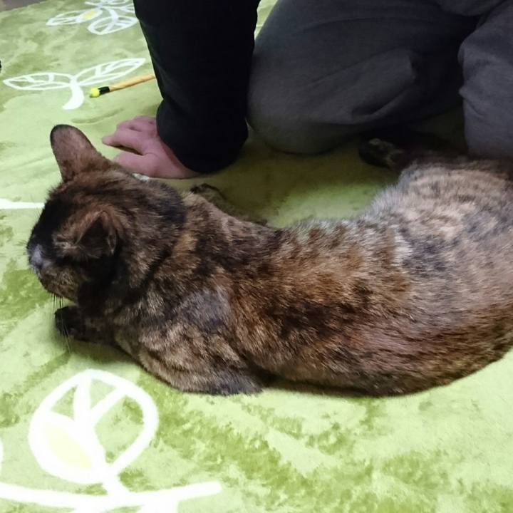 46e974a0 84fb 4280 987a a670b78c1016