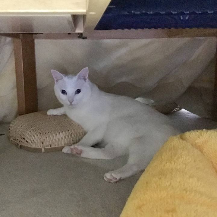 46e9a12e cf1b 42f9 9d3e e10f1cc1d3c0