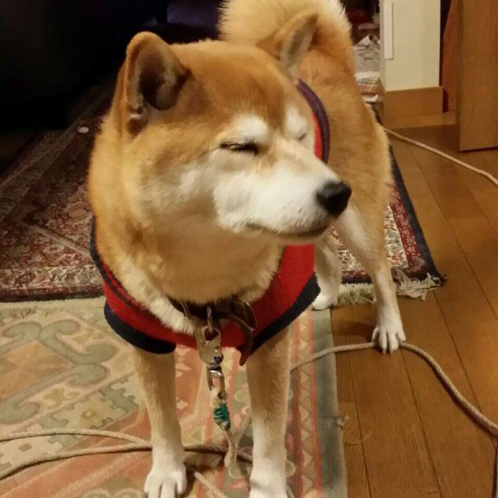 46e9e39e 8bc7 4133 9662 a35a939fe66b