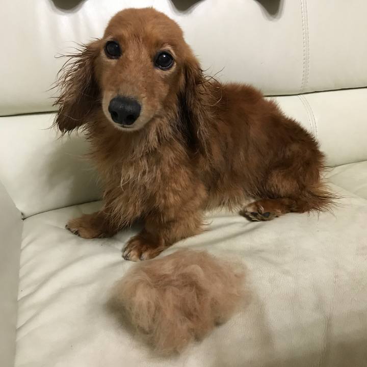 46e9f3d9 d506 46d4 b0e8 e852cad4ac10