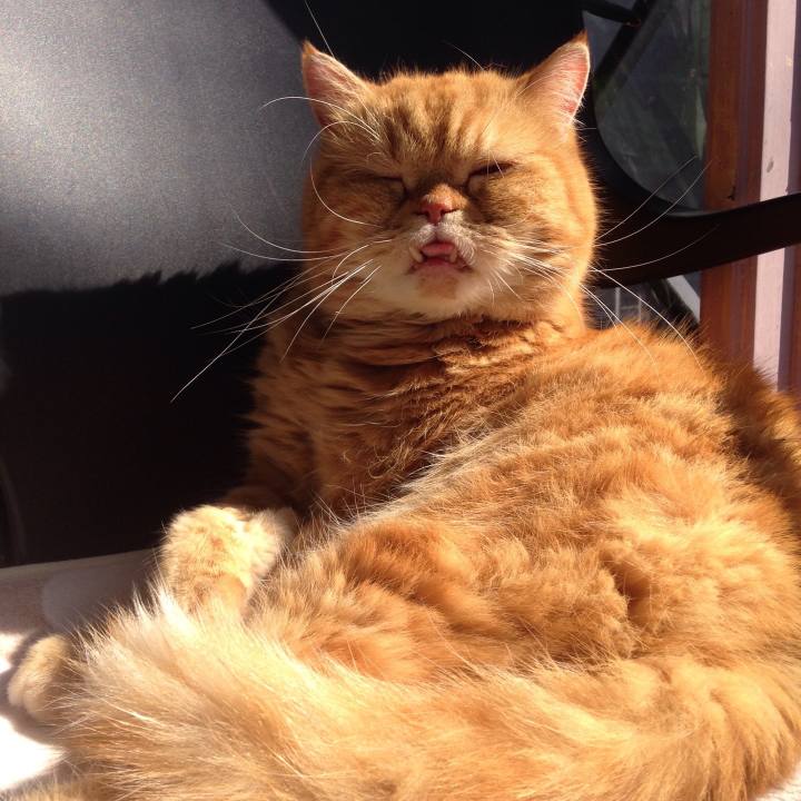 46ea3d7d 5603 425c a78e d69eee4938cc