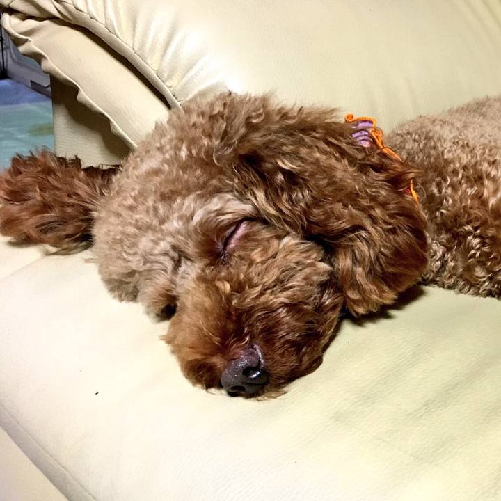 46ea4f7f 4ed0 4743 8b99 b0e688fff4e7