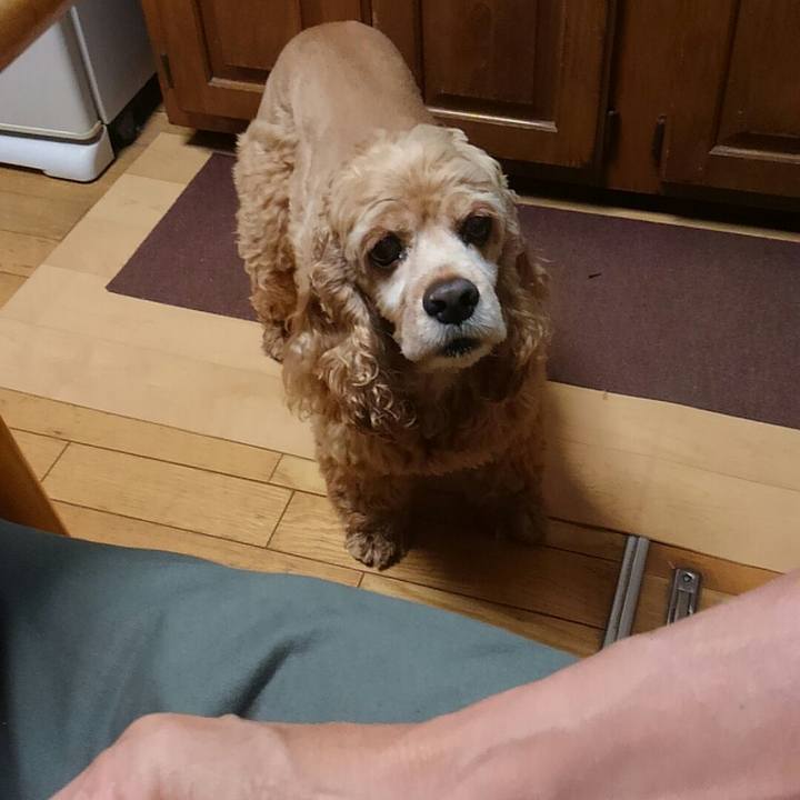 46ead856 b1a2 48ba b742 955d7e58b9b6