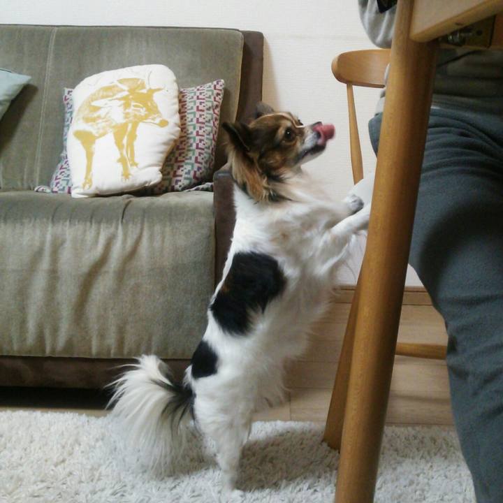 46eaf777 2ce0 4e7b 889b 2ab6991de6dd