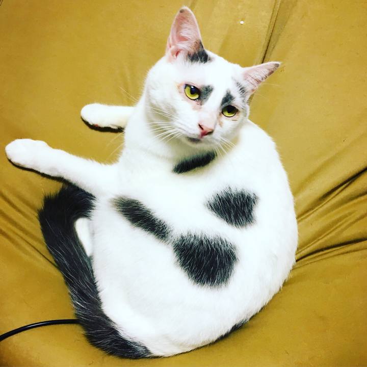 46eb634a a1dd 4d2d 9a4b 64491cb01ac8