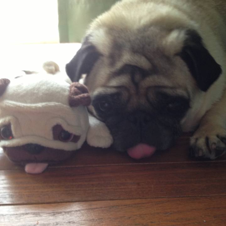 46eb869e cf80 4cce a6c7 f38c4eb299f2