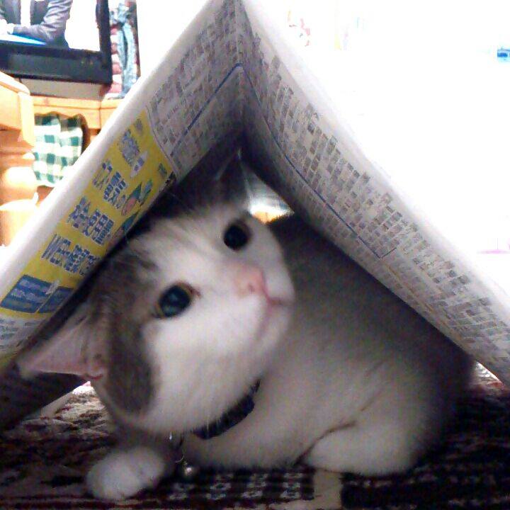 46ee5122 2de1 4131 810c 1b852df08c14