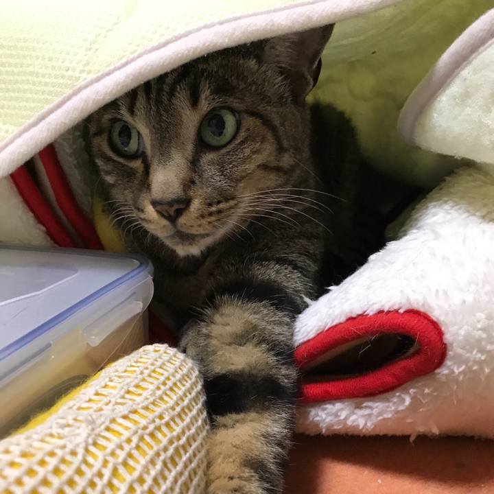 46ee88f0 3b99 4aa7 a10c a1728b777219