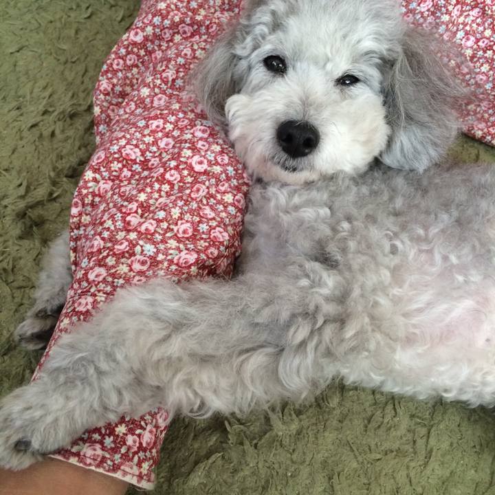 46eea077 e47f 4160 aca6 00d2da51c035