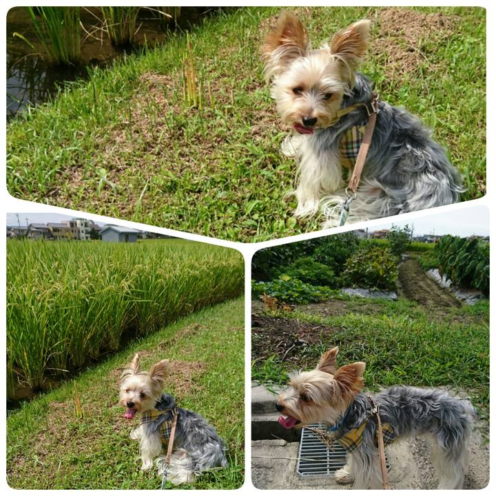 46eed204 b779 4186 a356 a70134f86a74