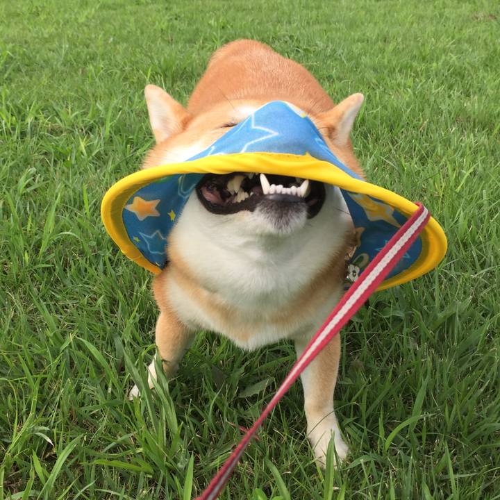 46ef25cd f3c3 4385 a1ad 8fc7ddd23f8a