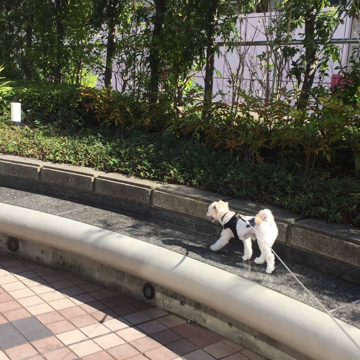 46ef880f 9ba9 4669 bf55 0d944f17060d