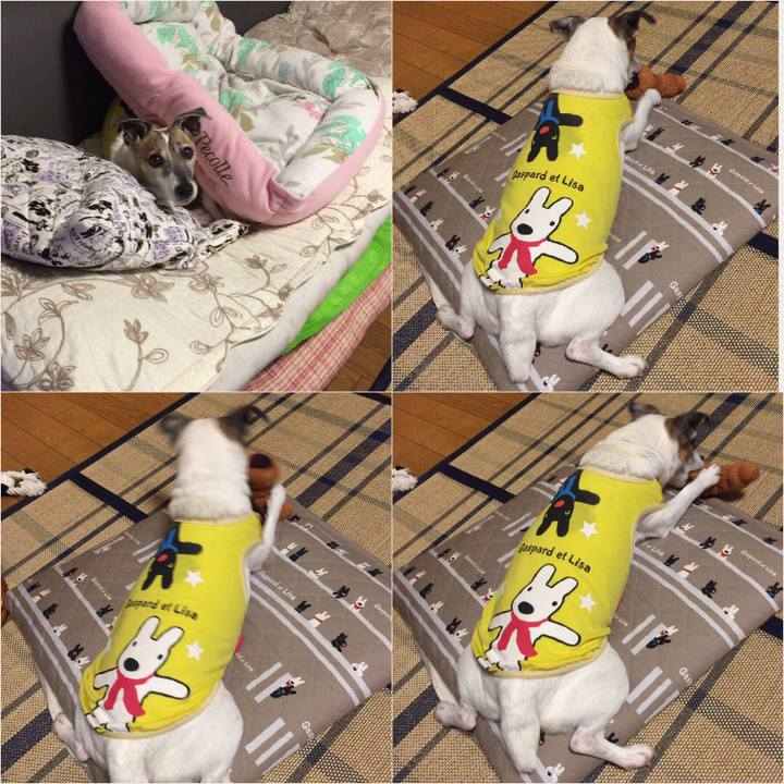 46efef86 eb84 451f 9684 985fd67b64f0