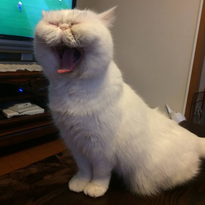 46f02048 2c74 4058 9e9d 2be869de343e