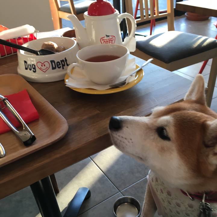 46f1122b 863f 431d 9059 d700e2e196c7