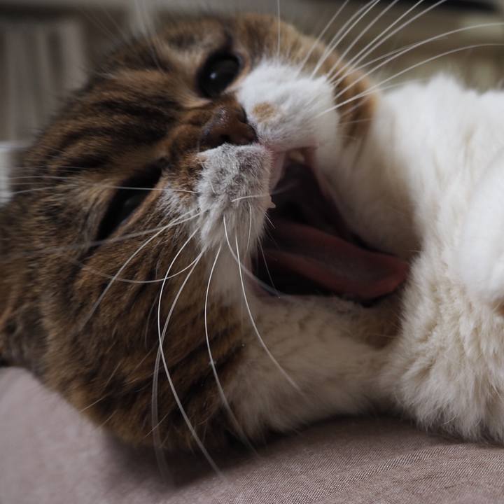 46f11689 02a4 470a 9065 2d265d3738d8