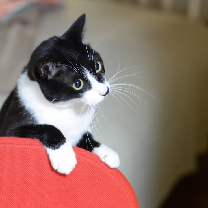 46f34819 6347 40ac a0fb 25bda5fa8bbb