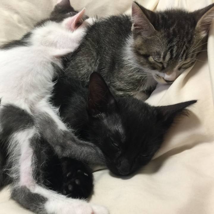 46f39500 5bea 4f00 a3ed acbacea6b992