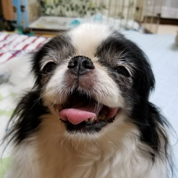 46f5d266 3551 42a9 937d 23bff2f615a6