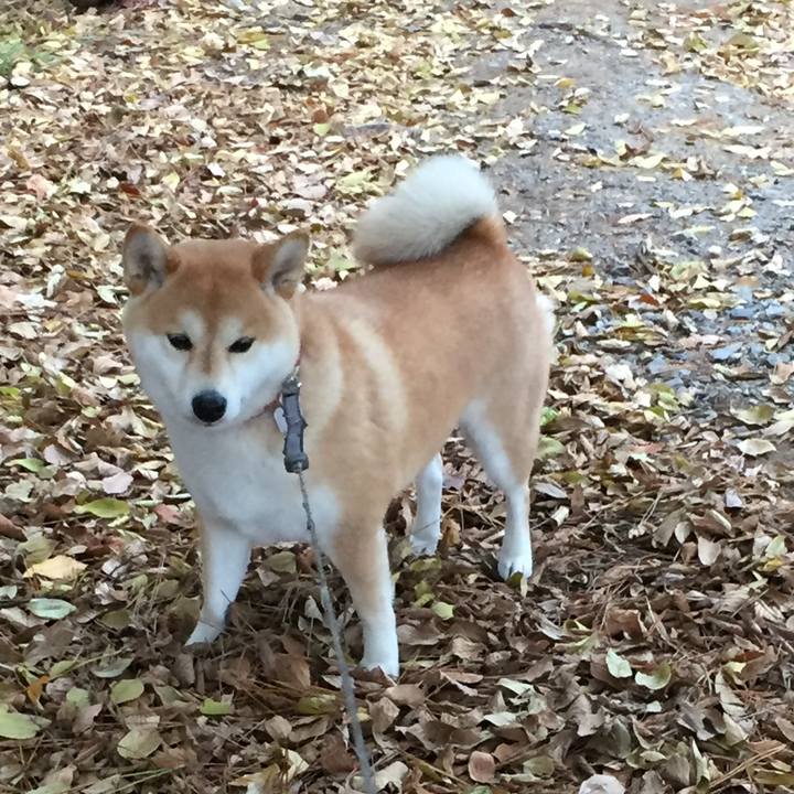 46f61a69 1514 4eab aa82 bfc430c56eef