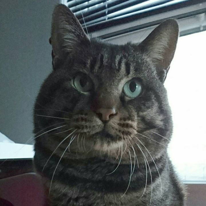 46f65bff de8a 487d a5b7 1b8b1a62a0bf