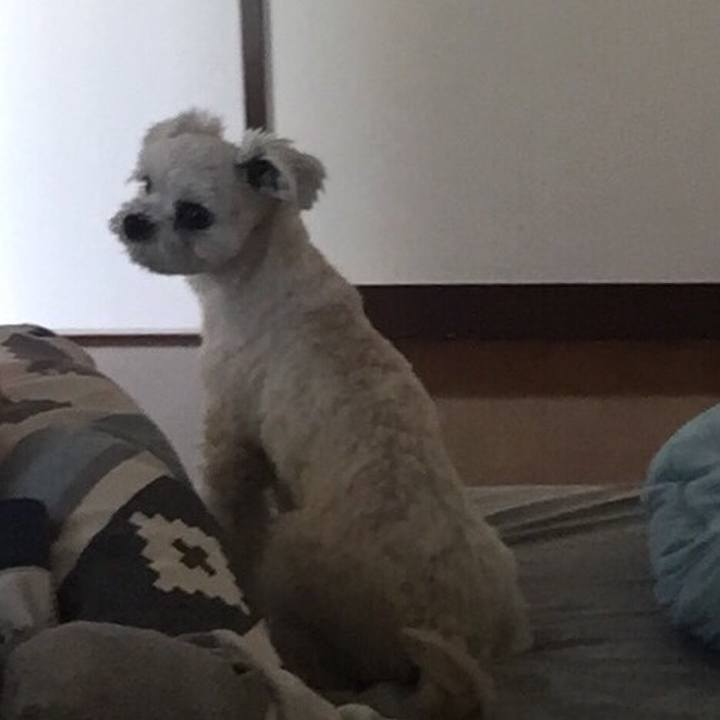 46f677eb 0bb5 4185 aa1b 669297a916d2