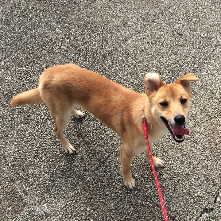 46f816c9 d72d 4ee9 a2ab 23a196ba23ca