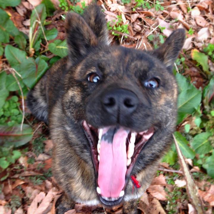 46f81f77 e379 4001 b2f4 0539b887c8b4