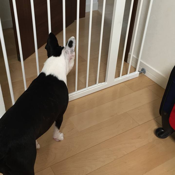 46f84931 13fc 4f95 acde 7b21c794469f