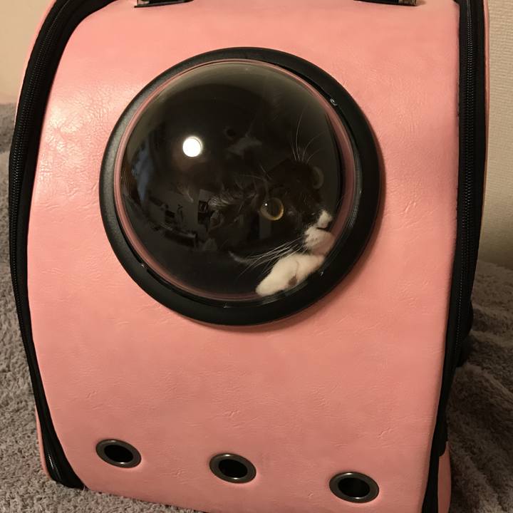 46f85479 5680 42a4 9e6d 4759c9bc77da