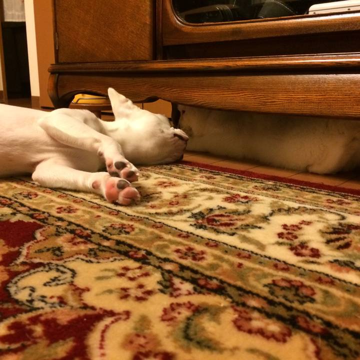 46f8b223 5a8e 4ff4 8383 a2647cd7da68