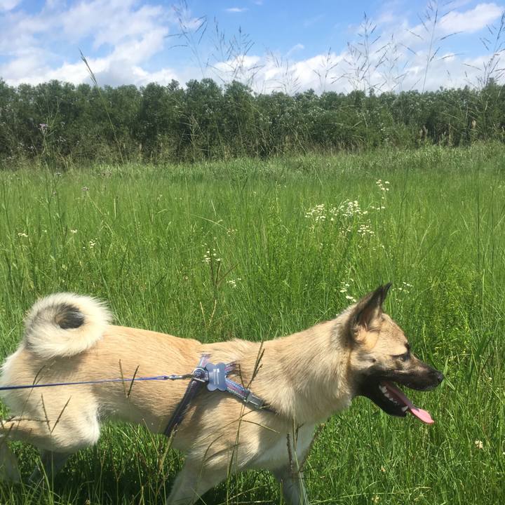 46f8cf68 3a40 4963 bb5c 363d75c54b0f