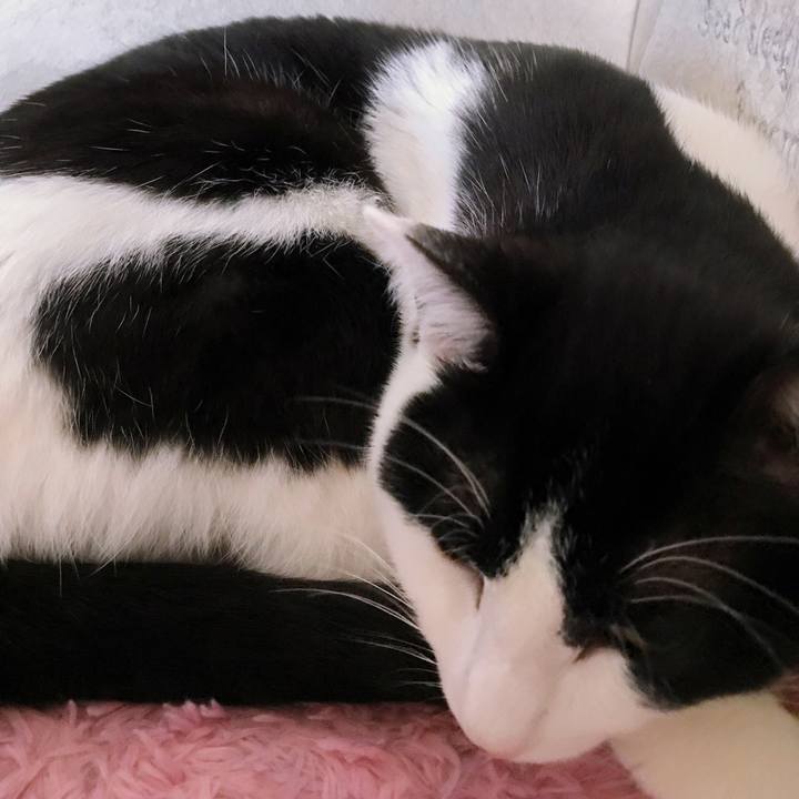 46f93df0 14df 4195 9cef 5cc7e46bcf09