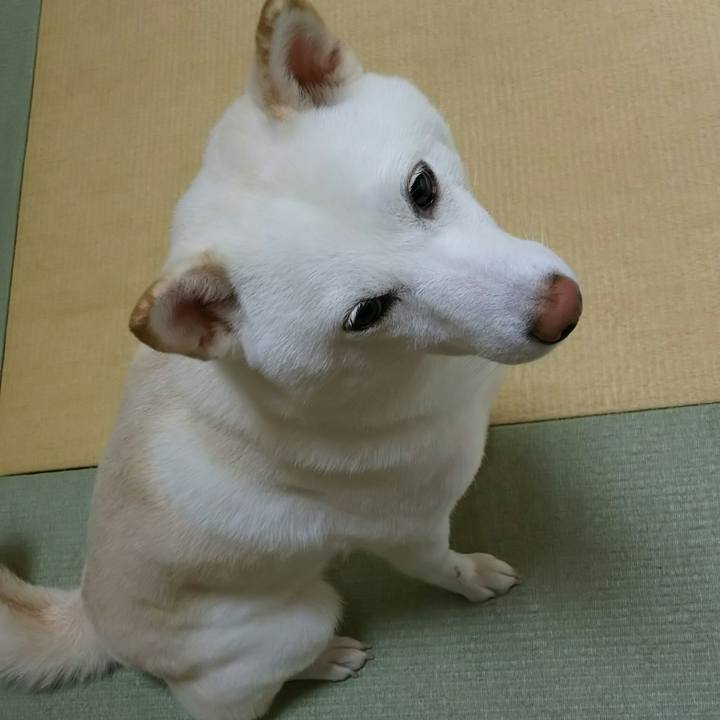 46f95a3f 117a 4e04 93f6 f3544c3d62fa