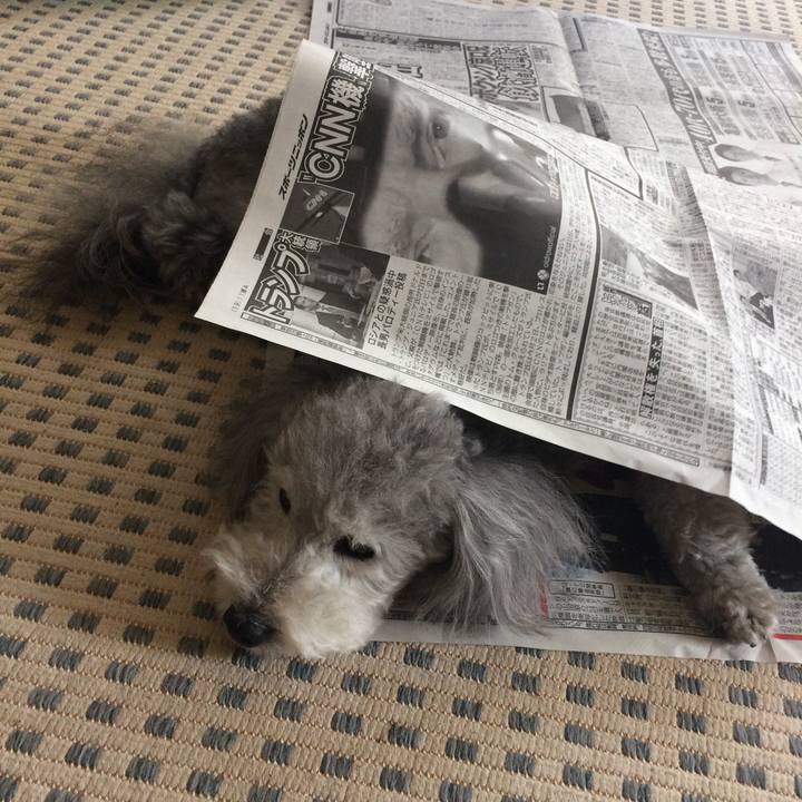 46f95fc2 1023 457c 9e07 7e260f49246e