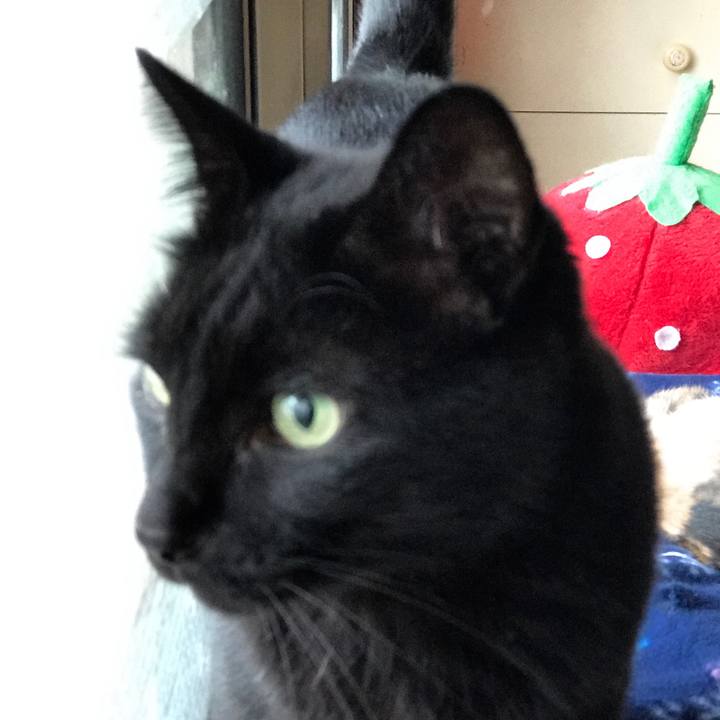 46f9830e e778 48b8 8cae c2a15212fbce