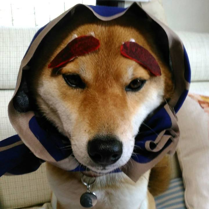 46f9e243 f174 4794 acb4 73bb72d0caca