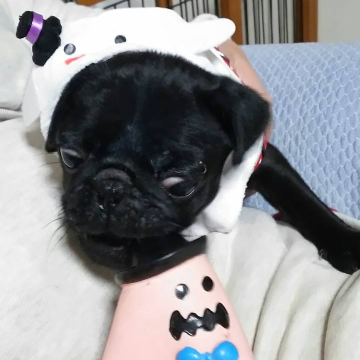 46fa04ce 1457 4881 a020 ca90b5683dc7