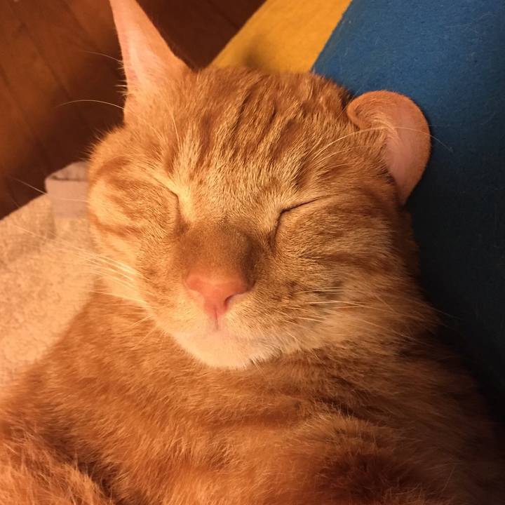 46fa2e1b ed7c 424d 83a3 633d79ce9ee9