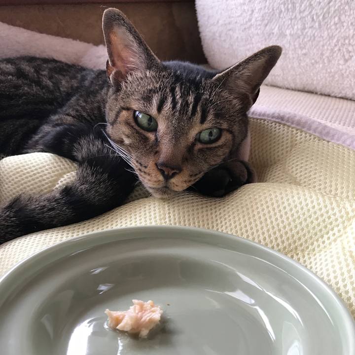 46fa47a6 e0af 4606 b21e fb1e7d9241c2