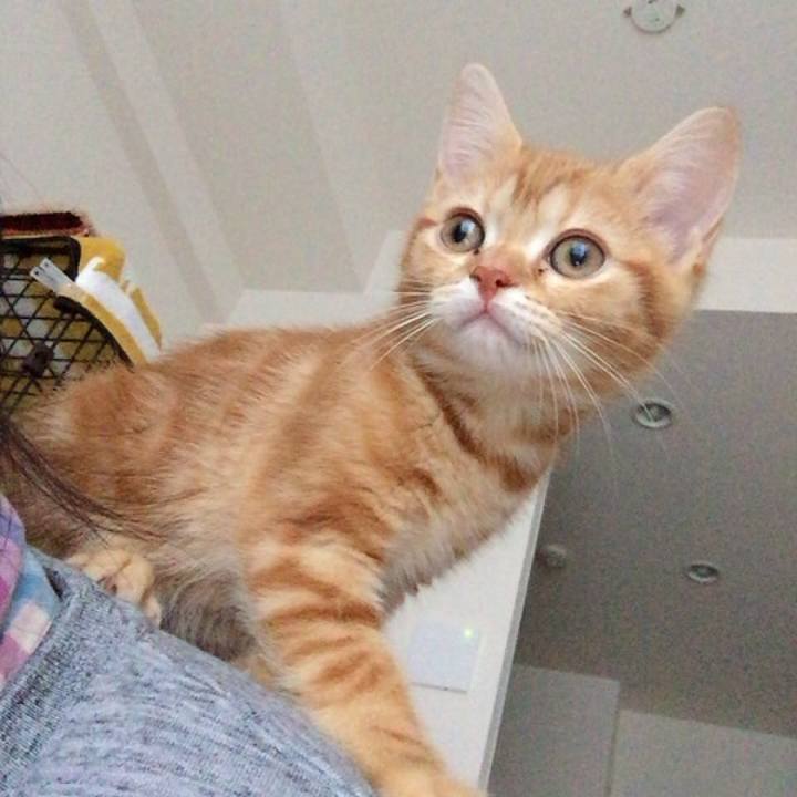 46fa555b fc25 475a afb5 85fe3ad092da