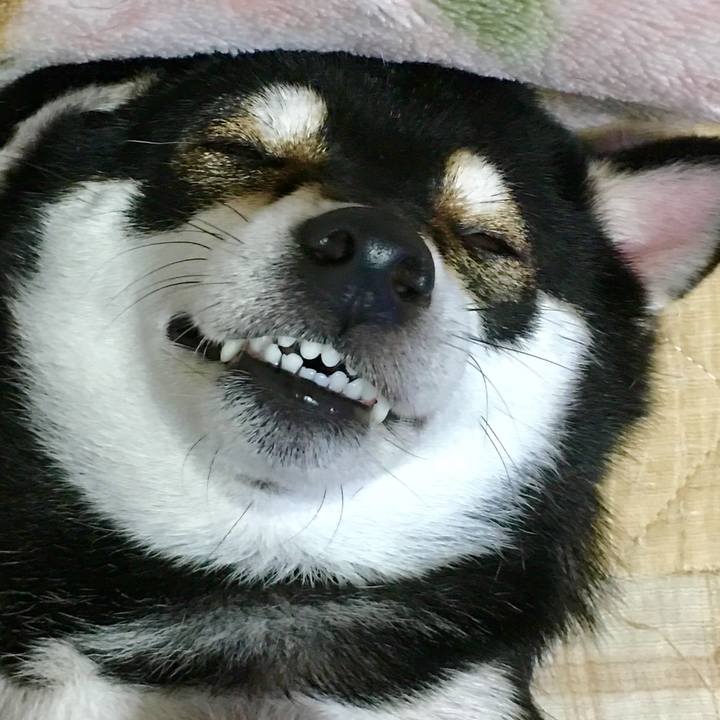 46fb9603 1148 4de9 bab8 f6c99bac1546