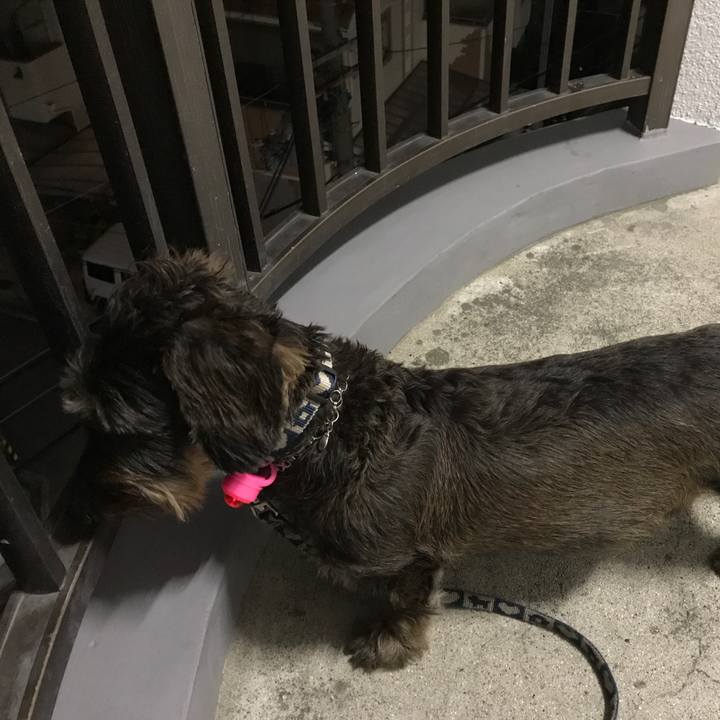 46fbc4e0 8a6d 4c25 b9e4 ba790297f8a5