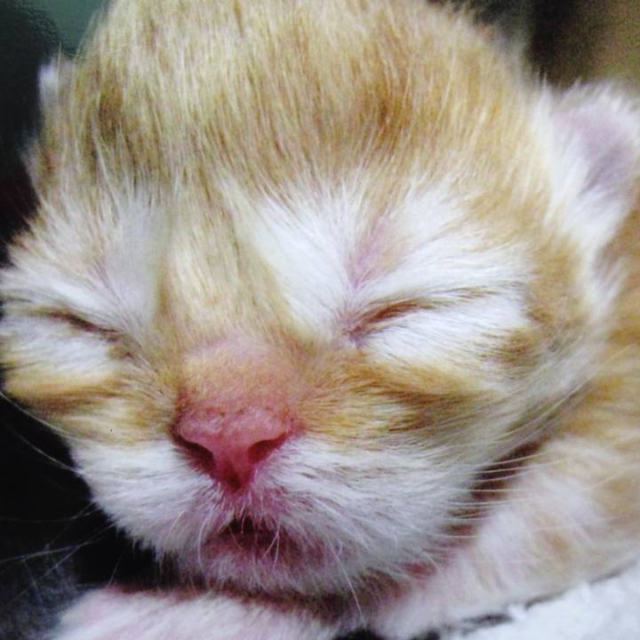 46fcdf7e 1bf7 4913 8975 7dc259796566