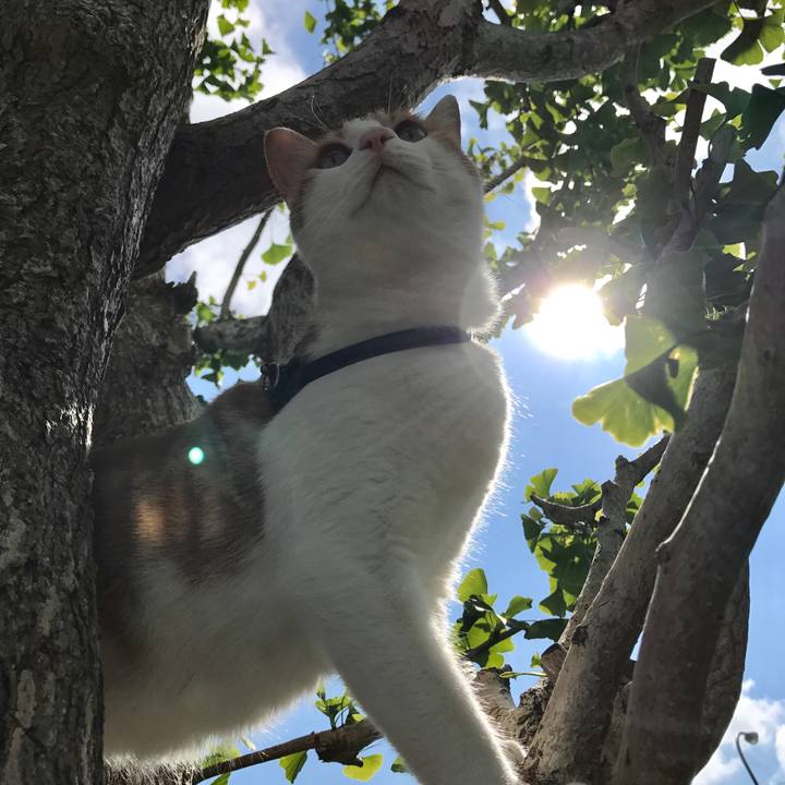 46fd6aa8 831c 45a0 b471 1c222ec4aced