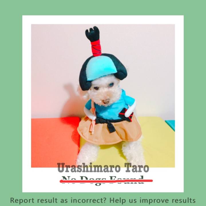 46fda7d3 2df3 412a 8c21 c584914fbe9c