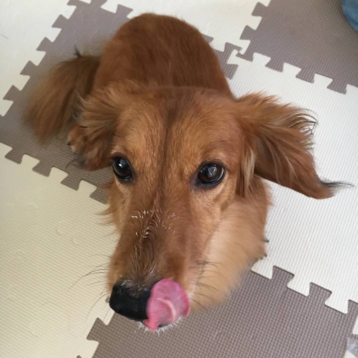 46fe2460 fc35 48ee 8cb3 35a1c27090de