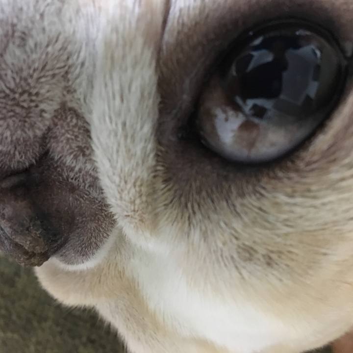 46ffba11 137b 4628 87e1 a5f6e13287a6