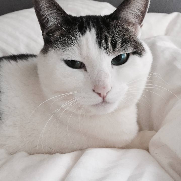 4700e2df bc96 4ca6 b7f3 366d3ae69049